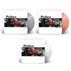 Pollen - Chip - 12" LP