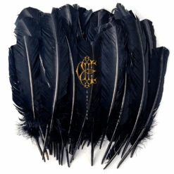 Cheap Band Tees Vinyl Store -Cheap Band Tees Vinyl Store DEECOVER 1