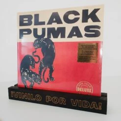 Vinyl LP Stand - Vane -Cheap Band Tees Vinyl Store IMG 9526