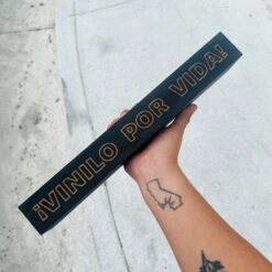 Vinyl LP Stand - Vane -Cheap Band Tees Vinyl Store IMG 9536