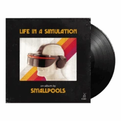Life In A Simulation 12" Vinyl