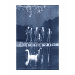 Signed Swan Risograph Print