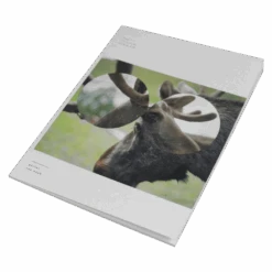 13.0.0.0.0 Tablature Book Hard Copy