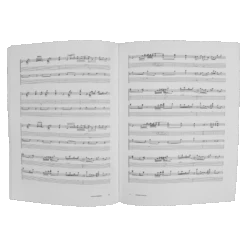 Disappointment Island Tablature Book Hard Copy -Cheap Band Tees Vinyl Store TTNGDisappointmentIslandTablatureBookHardOpen