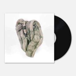 Weird Candle - Regeneration 12" Black Vinyl