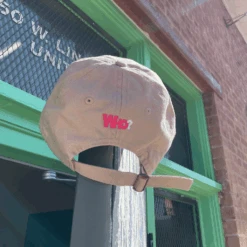 Wholigan Khaki Dad Hat -Cheap Band Tees Vinyl Store WholiganHat Lifestyle 2