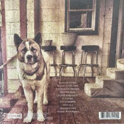 Signed California Sounds LP -Cheap Band Tees Vinyl Store YotamBenHorin CaliforniaSoundsLP JacketBack