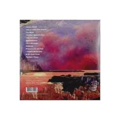 Apollyon Red/Orange Custom Double Vinyl -Cheap Band Tees Vinyl Store apollyon vinyl 3