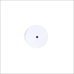 1988: The Original Demos [Test Pressing]