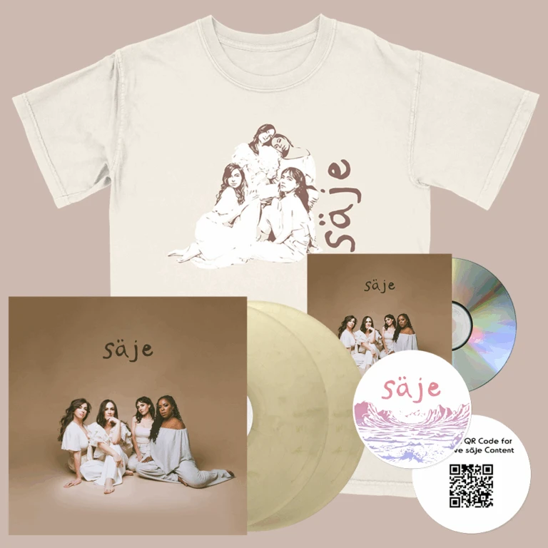 Cheap Band Tees Vinyl Store -Cheap Band Tees Vinyl Store SAJEBUNDLE 768x768 1